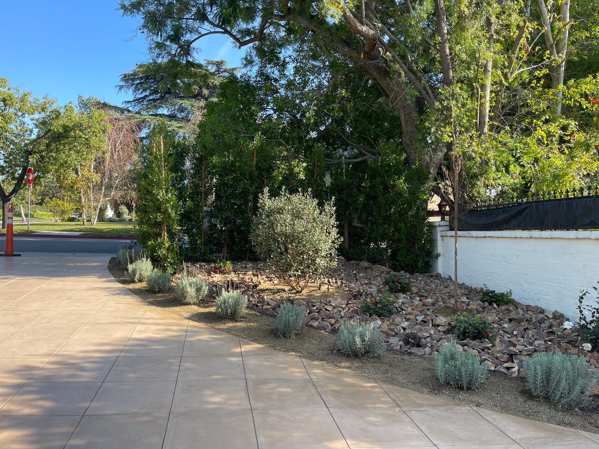 Driveway bordered by drought-tolerant plantings