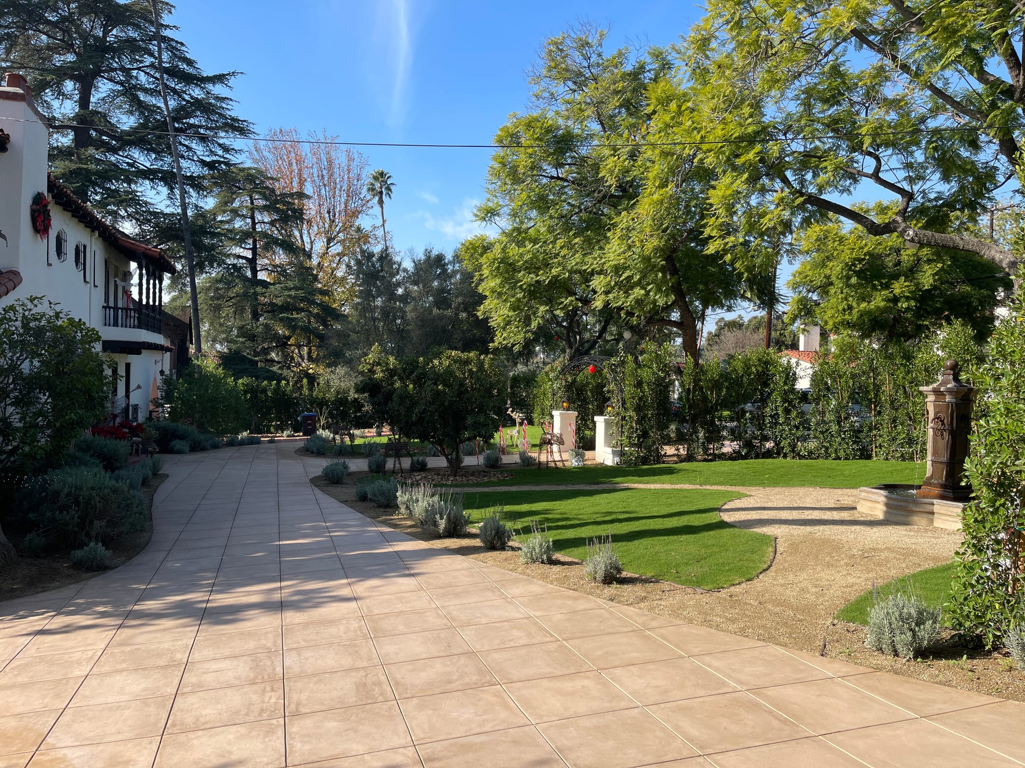 Landscaped front path and lawn