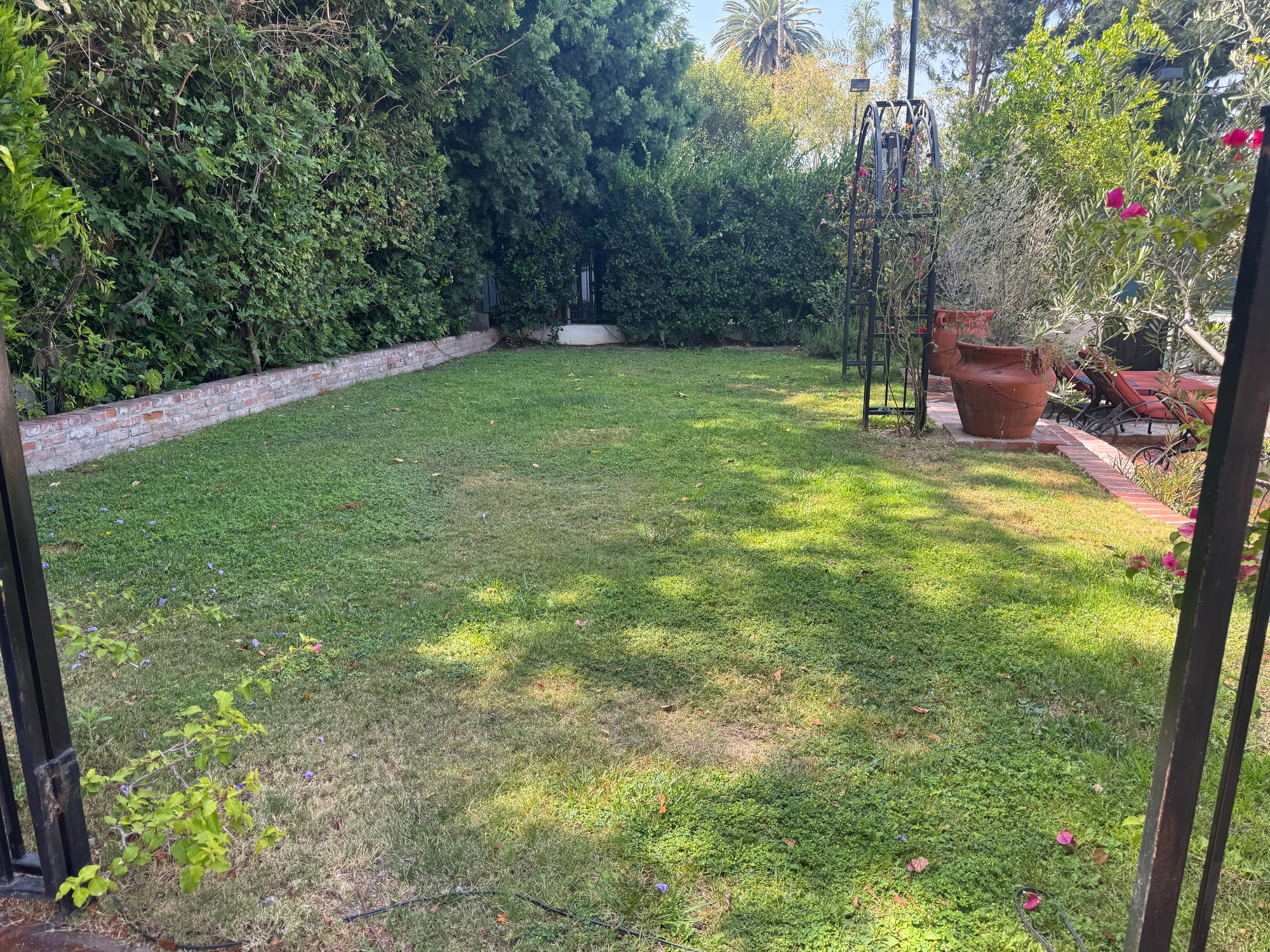 Expansive private back lawn